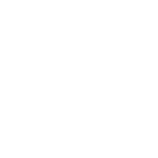 Big Fun Icon